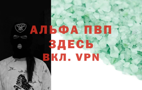 спиды Осташков