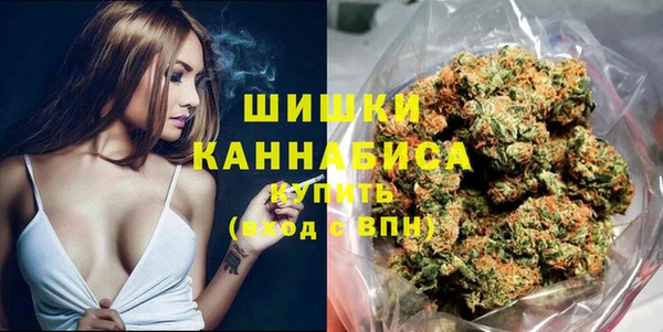 ALPHA PVP Няндома