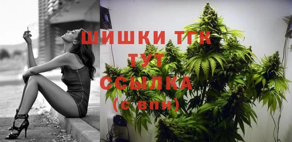спиды Осташков