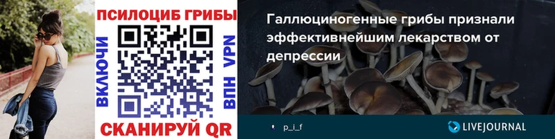 Галлюциногенные грибы ЛСД  Сертолово 