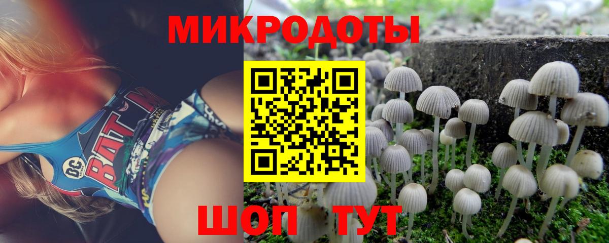 Галлюциногенные грибы MAGIC MUSHROOMS  Вход с VPN  Псилоцибиновые грибы Cubensis  Сертолово 