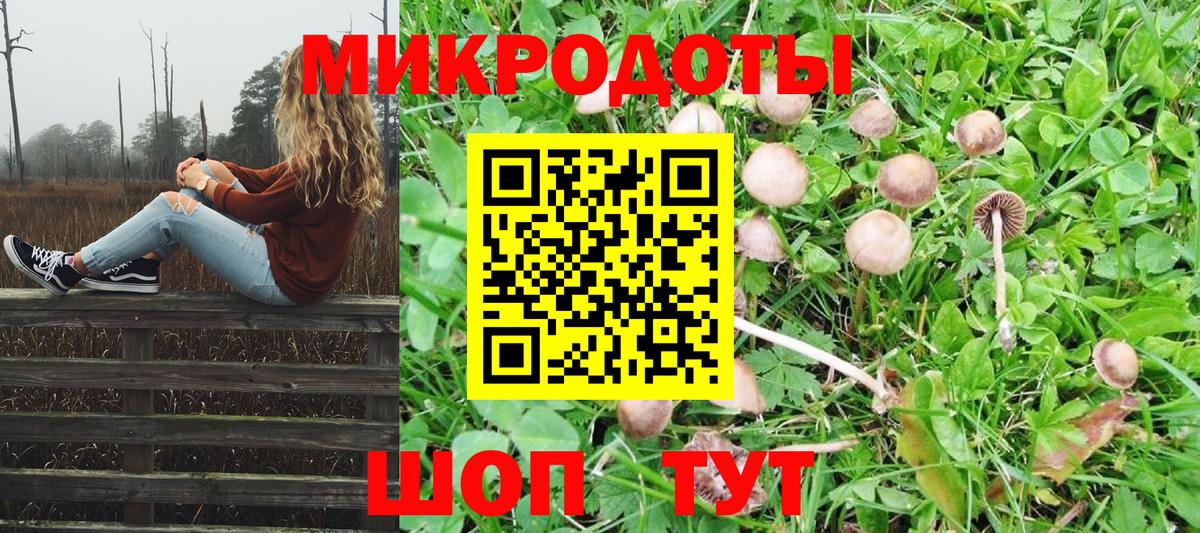 Галлюциногенные грибы MAGIC MUSHROOMS Сертолово